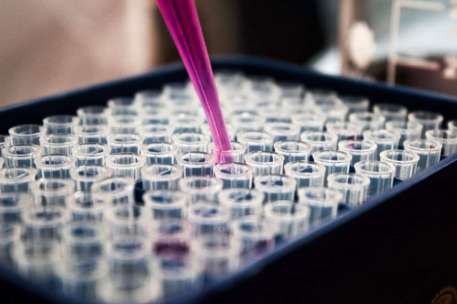 A close-up of a lab pipette releasing a purple liquid into a tray filled with numerous clear test tubes.