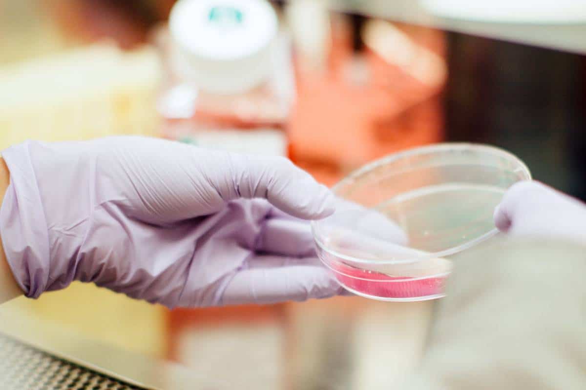 A gloved hand holds a petri dish containing a pink substance, with laboratory equipment and a blurred background.